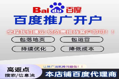 百度SEM竞价推广，案例解析转化率提升秘诀